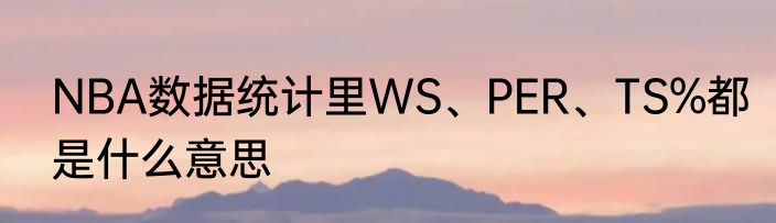 NBA数据统计里WS、PER、TS%都是什么意思