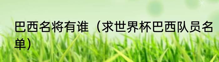 巴西名将有谁（求世界杯巴西队员名单）