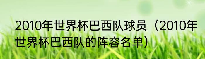 2010年世界杯巴西队球员（2010年世界杯巴西队的阵容名单）