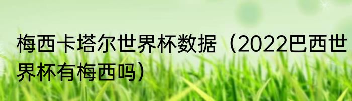梅西卡塔尔世界杯数据(2022巴西世界杯有梅西吗)
