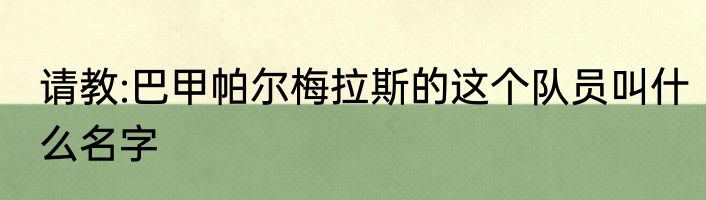 请教:巴甲帕尔梅拉斯的这个队员叫什么名字