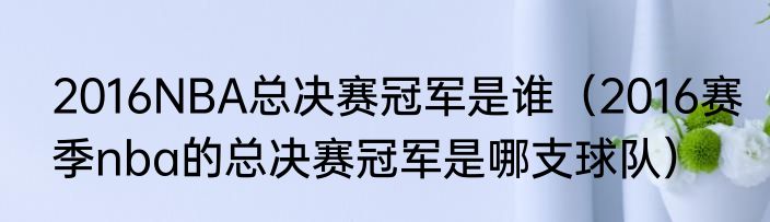 2016NBA总决赛冠军是谁（2016赛季nba的总决赛冠军是哪支球队）
