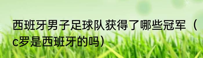 西班牙男子足球队获得了哪些冠军（c罗是西班牙的吗）