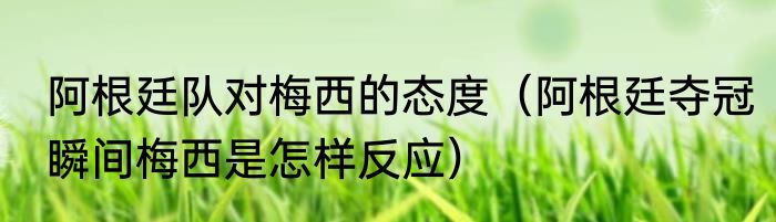 阿根廷队对梅西的态度（阿根廷夺冠瞬间梅西是怎样反应）