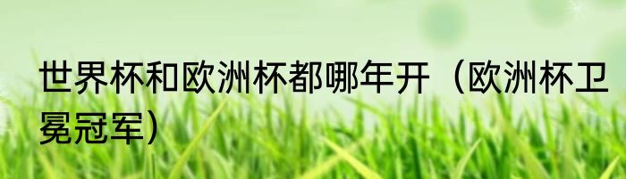 世界杯和欧洲杯都哪年开（欧洲杯卫冕冠军）