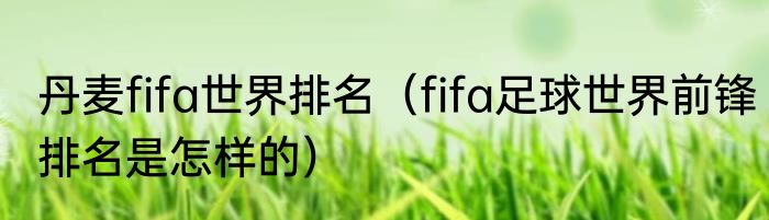 丹麦fifa世界排名（fifa足球世界前锋排名是怎样的）