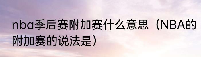 nba季后赛附加赛什么意思（NBA的附加赛的说法是）