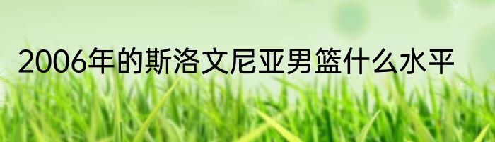 2006年的斯洛文尼亚男篮什么水平