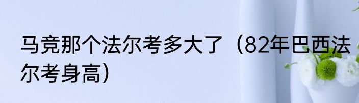 马竞那个法尔考多大了（82年巴西法尔考身高）