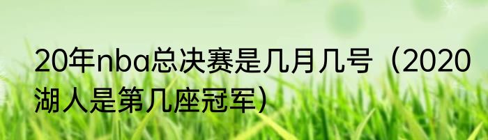 20年nba总决赛是几月几号（2020湖人是第几座冠军）