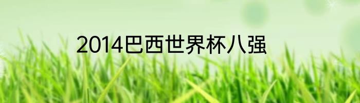 2014巴西世界杯八强