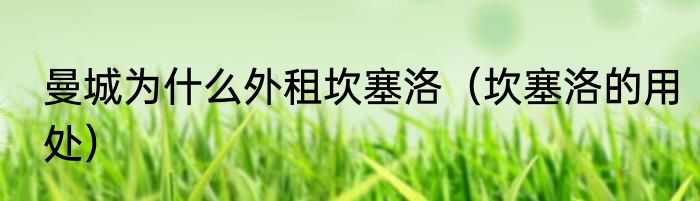 曼城为什么外租坎塞洛（坎塞洛的用处）