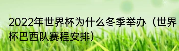 2022年世界杯为什么冬季举办（世界杯巴西队赛程安排）