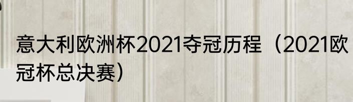 意大利欧洲杯2021夺冠历程（2021欧冠杯总决赛）