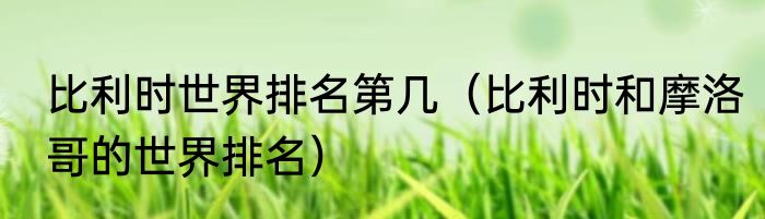 比利时世界排名第几（比利时和摩洛哥的世界排名）