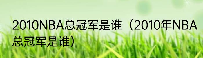 2010NBA总冠军是谁（2010年NBA总冠军是谁）