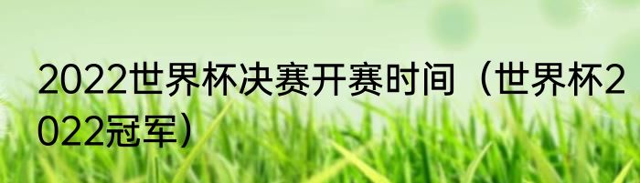 2022世界杯决赛开赛时间（世界杯2022冠军）