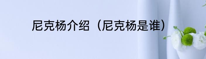 尼克杨介绍（尼克杨是谁）