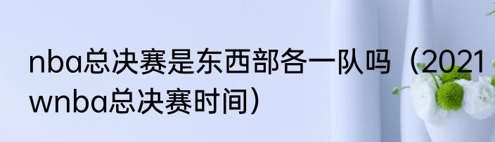 nba总决赛是东西部各一队吗（2021wnba总决赛时间）