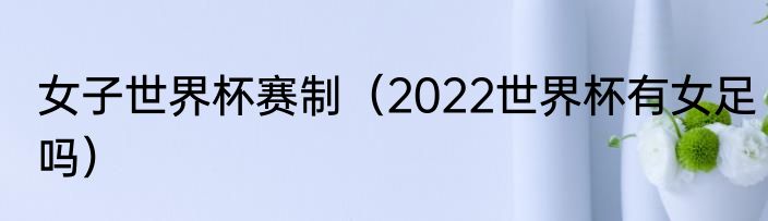 女子世界杯赛制（2022世界杯有女足吗）