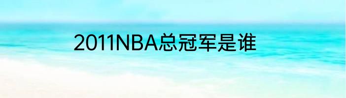 2011NBA总冠军是谁