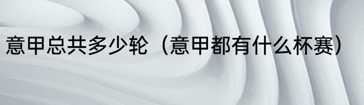 意甲总共多少轮（意甲都有什么杯赛）