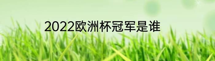 2022欧洲杯冠军是谁