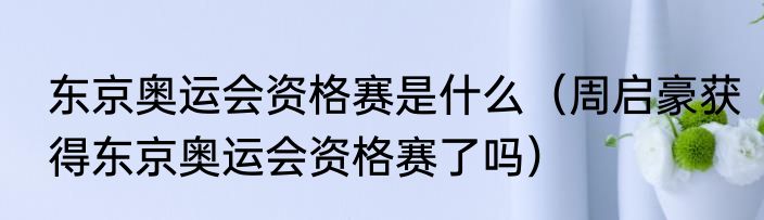 东京奥运会资格赛是什么（周启豪获得东京奥运会资格赛了吗）