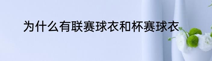 为什么有联赛球衣和杯赛球衣