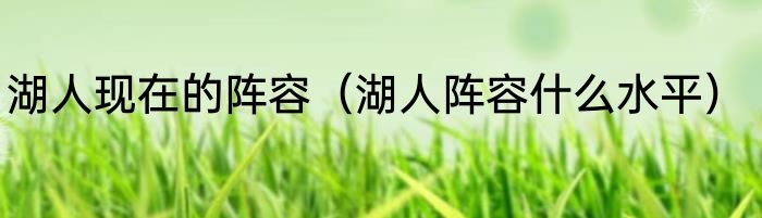 湖人现在的阵容（湖人阵容什么水平）