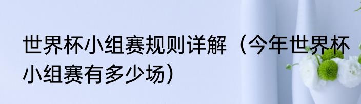 世界杯小组赛规则详解（今年世界杯小组赛有多少场）
