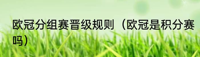 欧冠分组赛晋级规则（欧冠是积分赛吗）