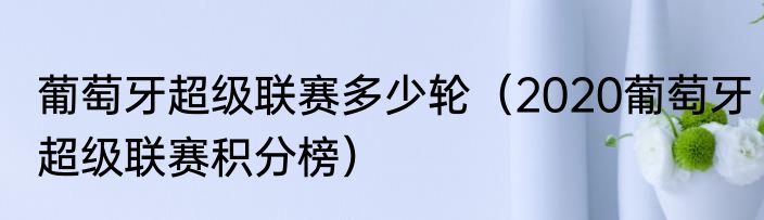 葡萄牙超级联赛多少轮（2020葡萄牙超级联赛积分榜）
