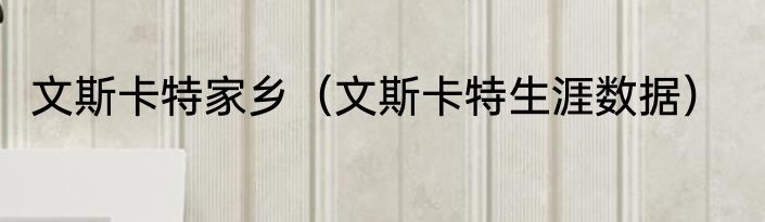 文斯卡特家乡（文斯卡特生涯数据）