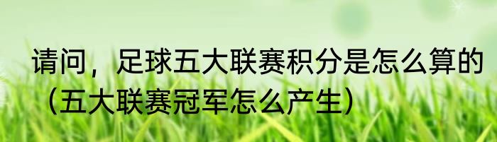 请问，足球五大联赛积分是怎么算的（五大联赛冠军怎么产生）