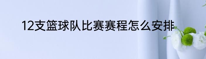 12支篮球队比赛赛程怎么安排