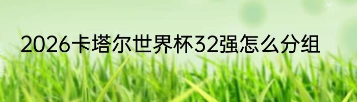 2026卡塔尔世界杯32强怎么分组