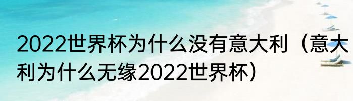 2022世界杯为什么没有意大利（意大利为什么无缘2022世界杯）