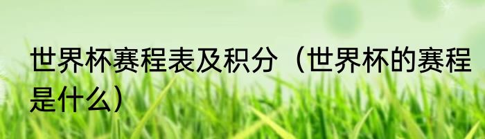 世界杯赛程表及积分（世界杯的赛程是什么）