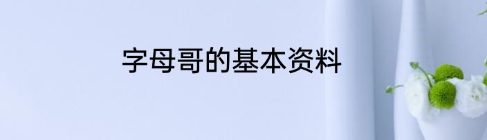 字母哥的基本资料