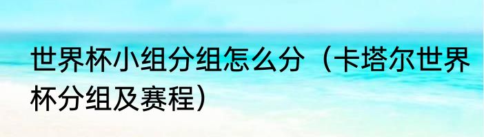 世界杯小组分组怎么分（卡塔尔世界杯分组及赛程）