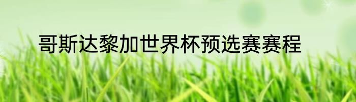 哥斯达黎加世界杯预选赛赛程