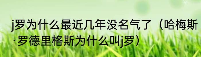 j罗为什么最近几年没名气了（哈梅斯·罗德里格斯为什么叫j罗）