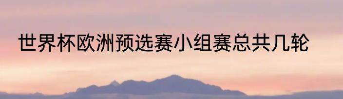 世界杯欧洲预选赛小组赛总共几轮