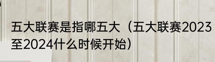 五大联赛是指哪五大（五大联赛2023至2024什么时候开始）