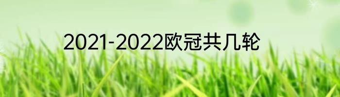 2021-2022欧冠共几轮