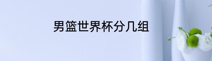 男篮世界杯分几组