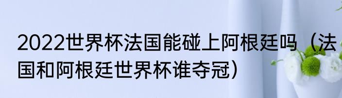 2022世界杯法国能碰上阿根廷吗（法国和阿根廷世界杯谁夺冠）