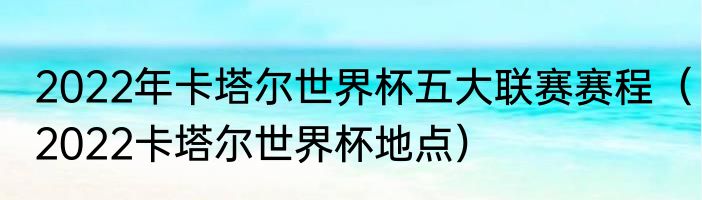 2022年卡塔尔世界杯五大联赛赛程（2022卡塔尔世界杯地点）