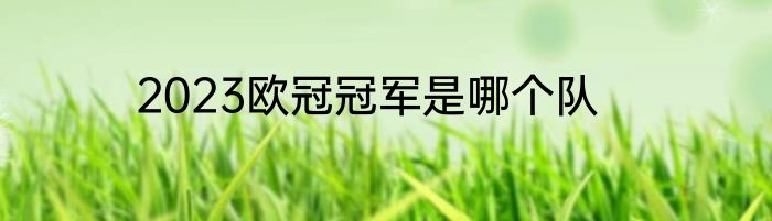 2023欧冠冠军是哪个队